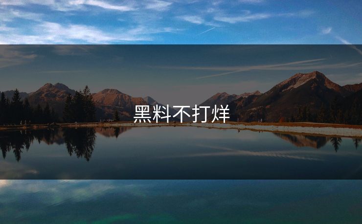 黑料不打烊