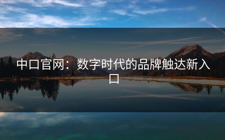 中口官网：数字时代的品牌触达新入口