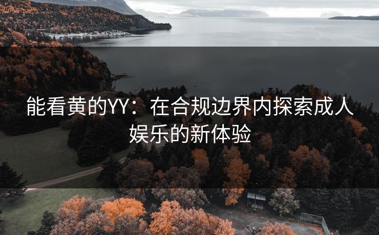 能看黄的YY：在合规边界内探索成人娱乐的新体验