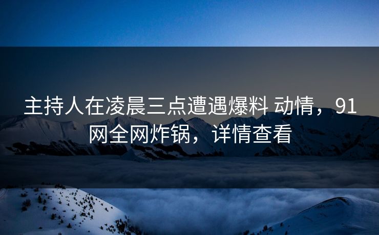 主持人在凌晨三点遭遇爆料 动情，91网全网炸锅，详情查看